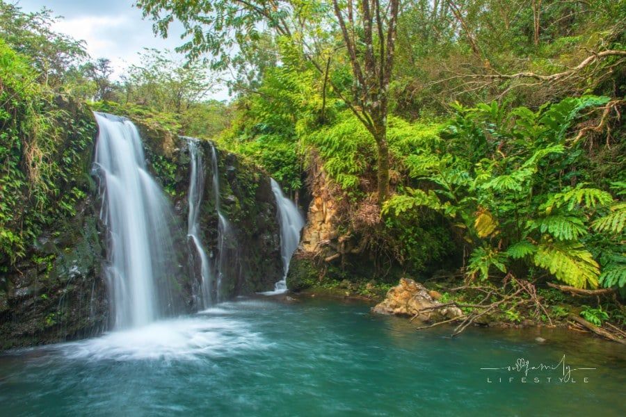 Top 5 Destinations for a Family Vacation in the USA