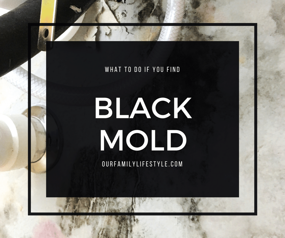 When You Find Black Mold in Your Brand New House