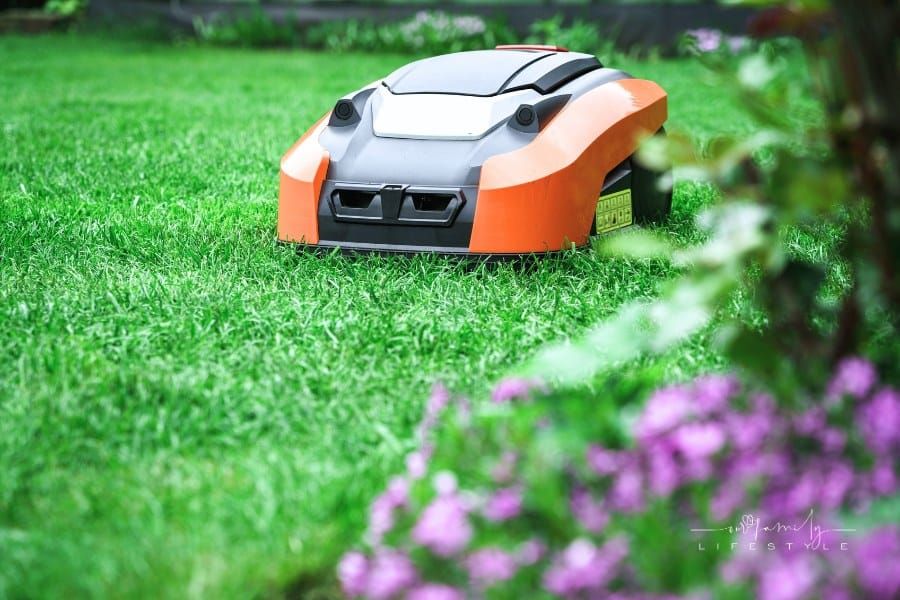 What You Need to Know About Lawn Mowing and Its Impact on Grass Health