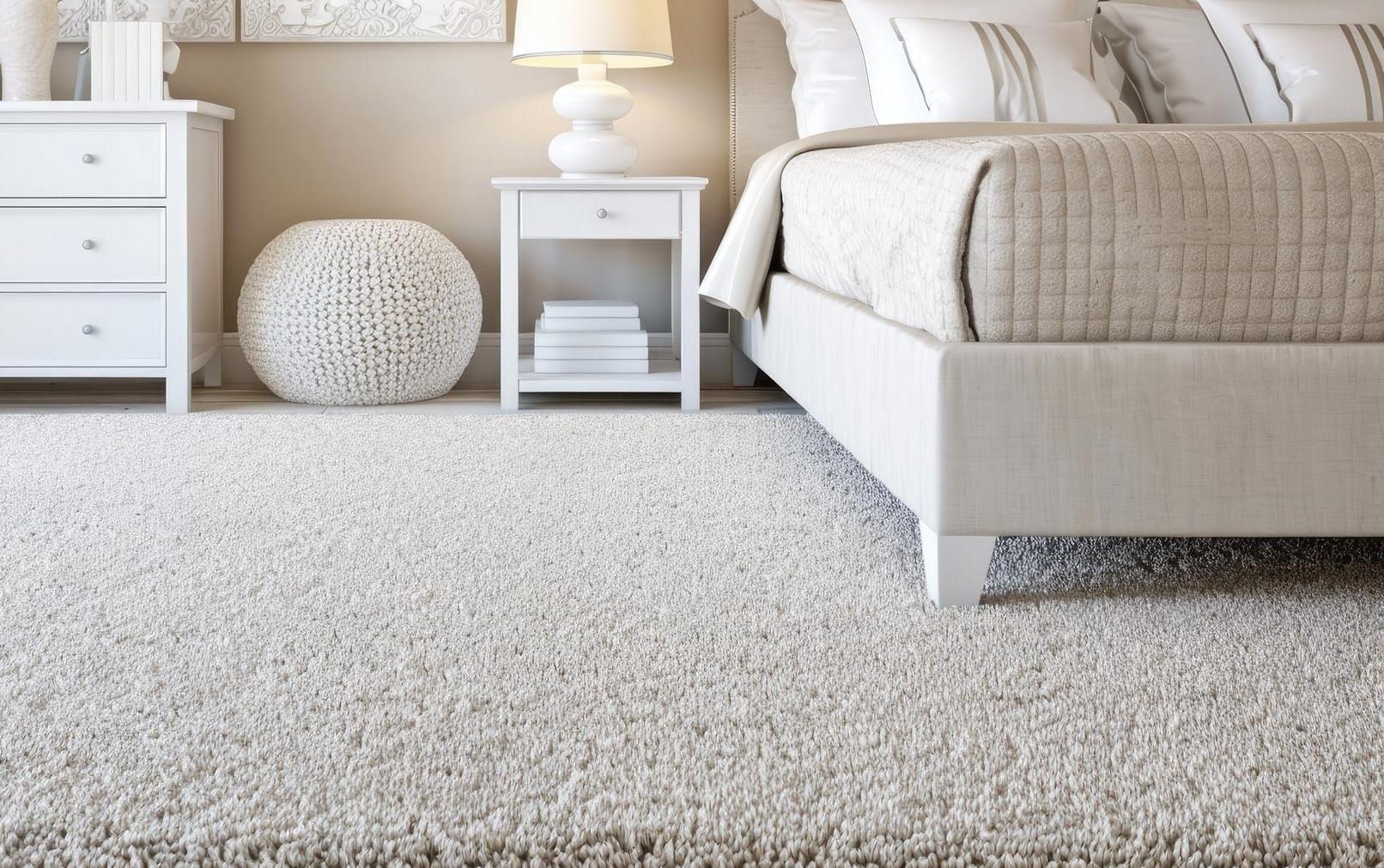 Top Tips for Maintaining a High-Quality Carpet in Pristine Condition