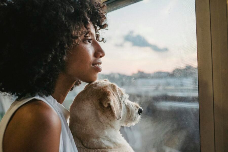 A serene moment of a woman with her dog gazing out a window during sunset.