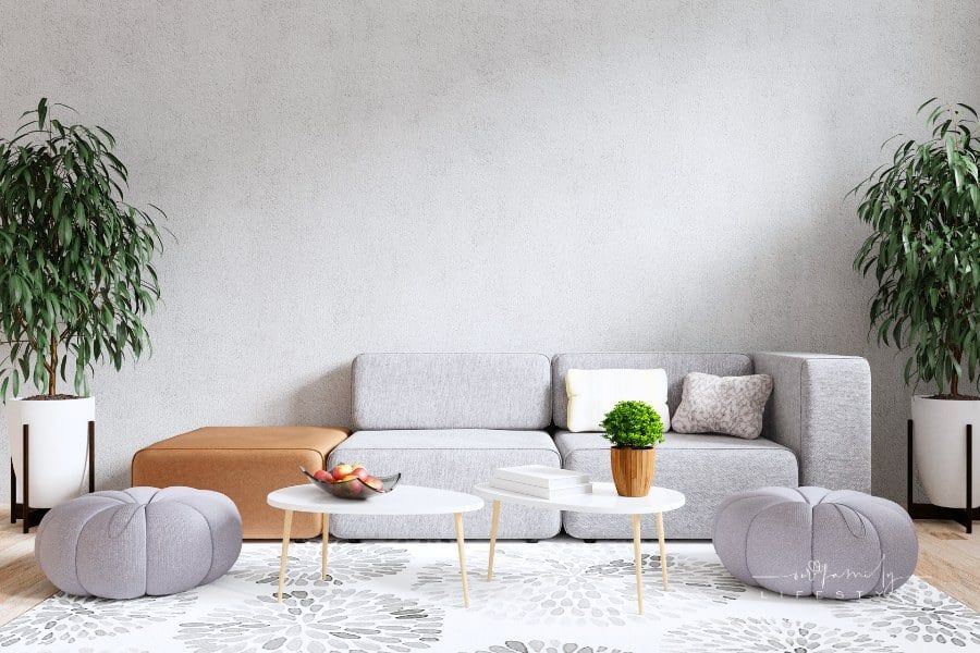 Modern Living Room Interior with Gray Sofa Against a Concrete Wall