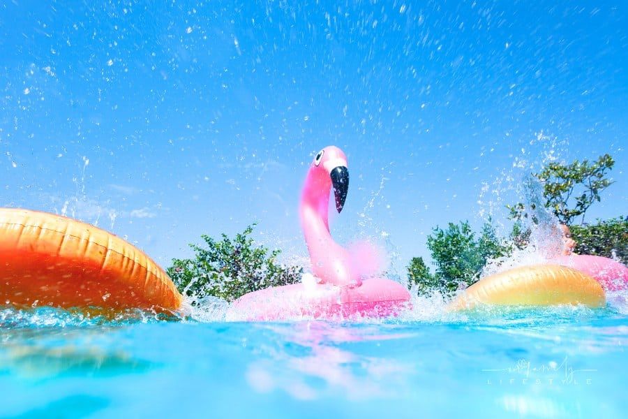 Inflatable Flamingo and Doughnut Floats in Pool