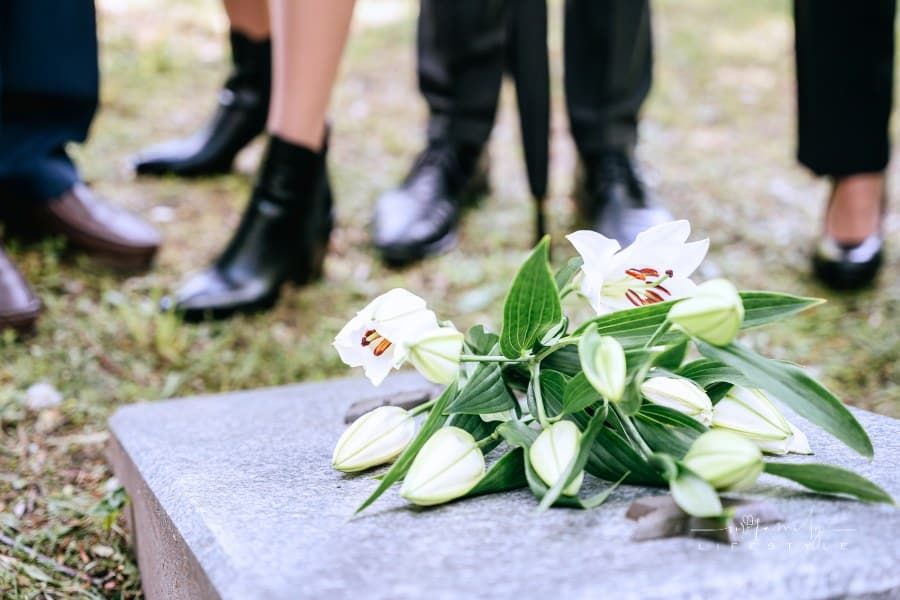 White Flowers on Gray Concrete Surface