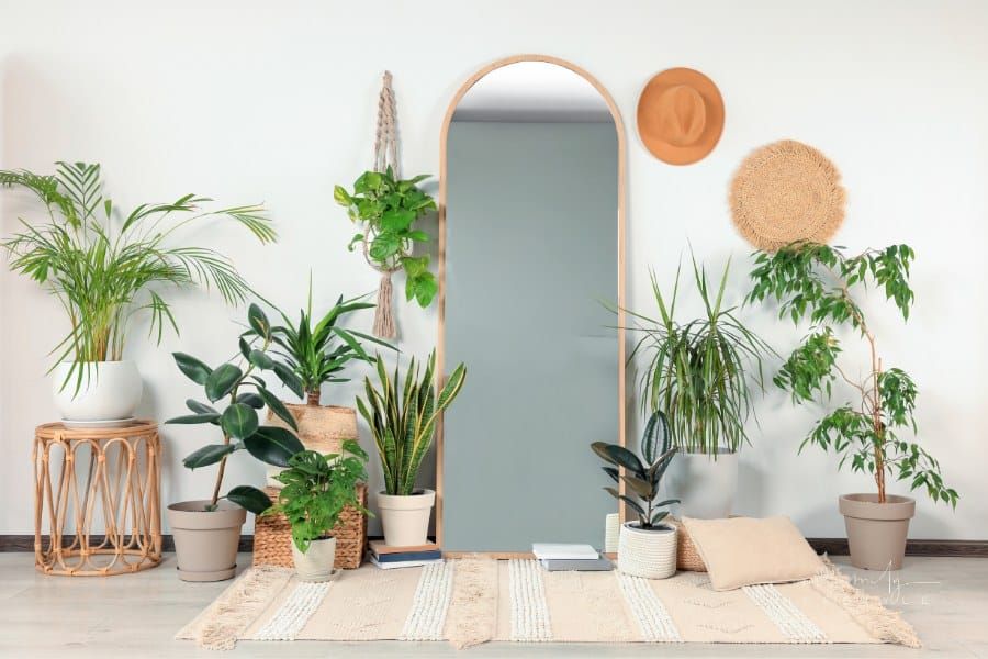 Stylish Full Length Mirror and Different Houseplants against a white wall in room