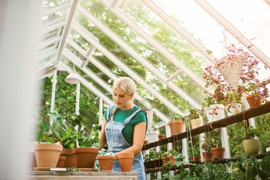 Woman gardening in greenhouse replanting plant