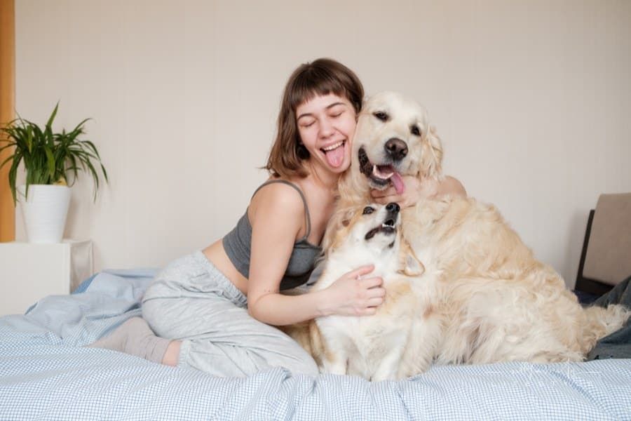 woman posing with tongue out to match dogs she is holding on bed