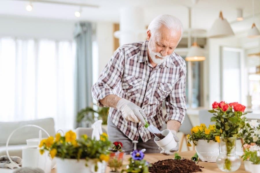 Senior man planting flowers in his home