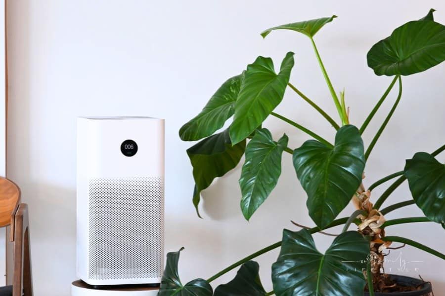 Air purifier and houseplant in living room.
