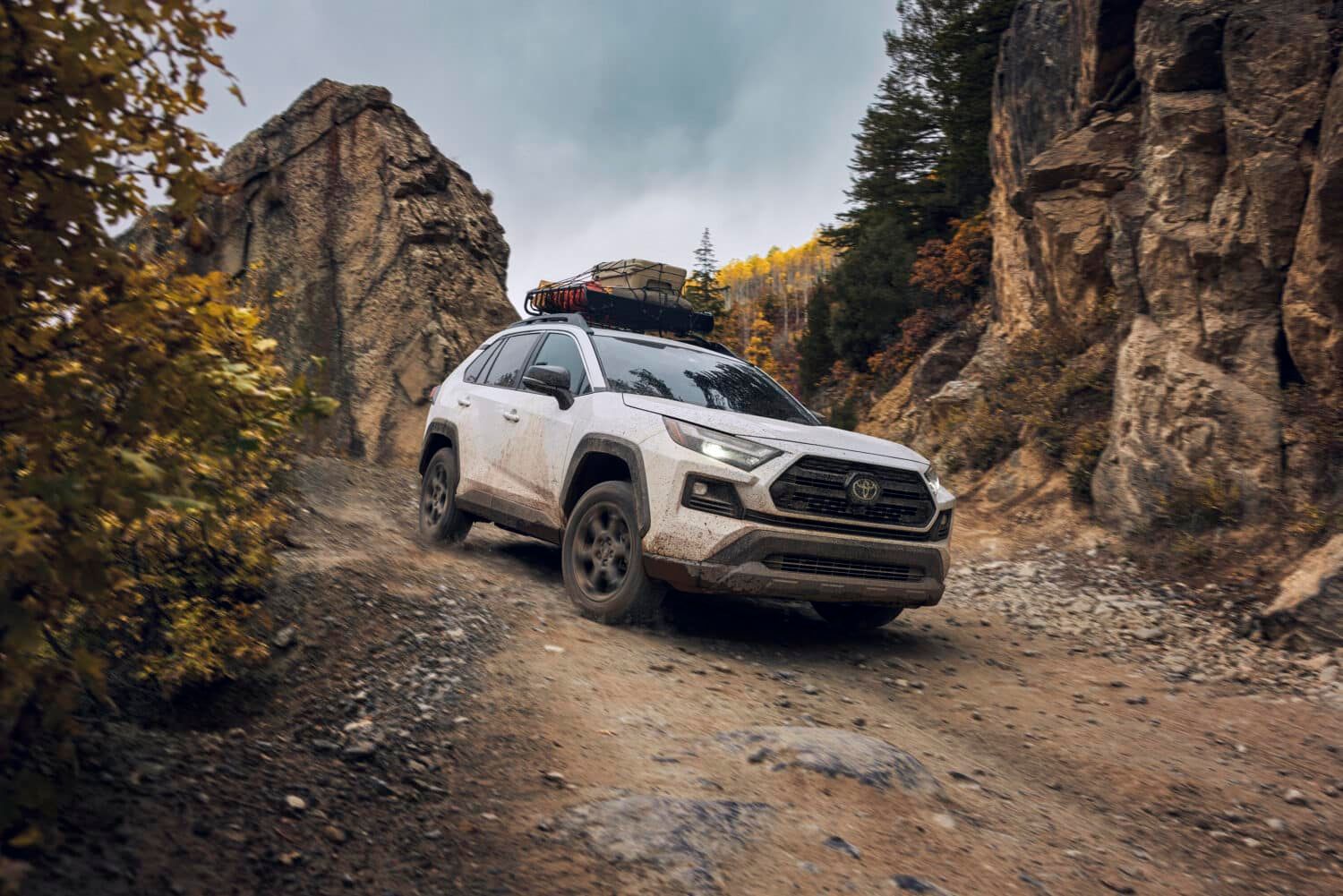 2024 Toyota RAV4 Woodldand suv