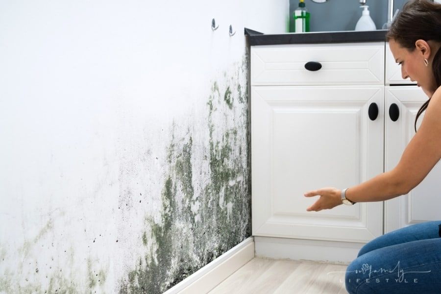 Pay Attention To These 4 Things If You Noticed Mold In Your Home