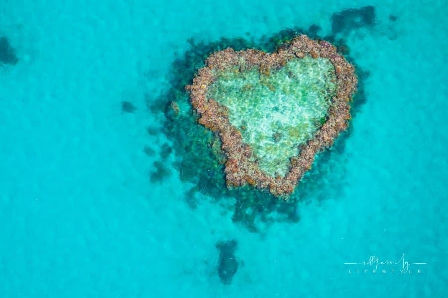Heart Reef in the Great Barrier Reef in Australia, viewed from a Seaplane
