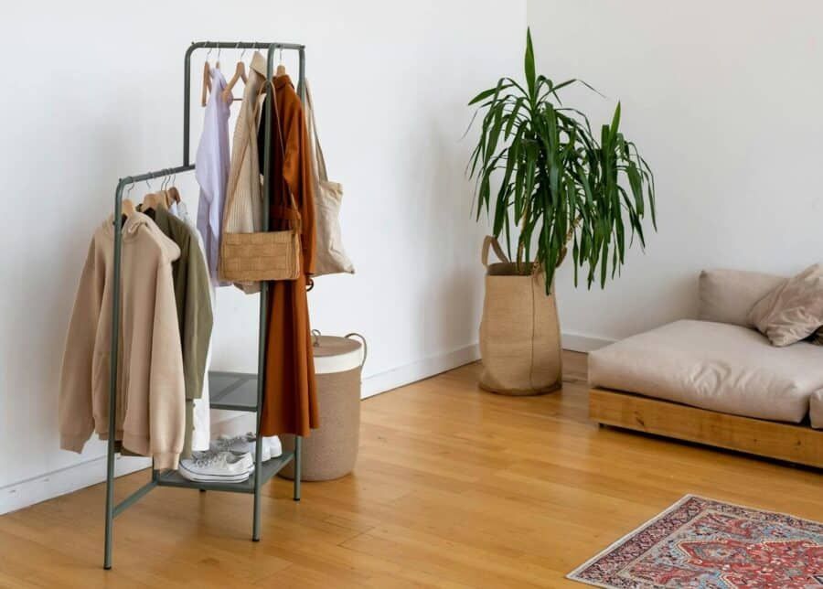 Stylish minimalist room featuring clothes rack, greenery, and modern decor.