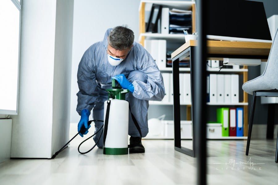 Pest Control Exterminator Services Spraying Insecticide