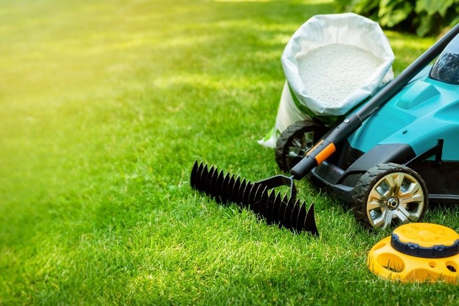 Tips On How To Take Care Of Your Lawn
