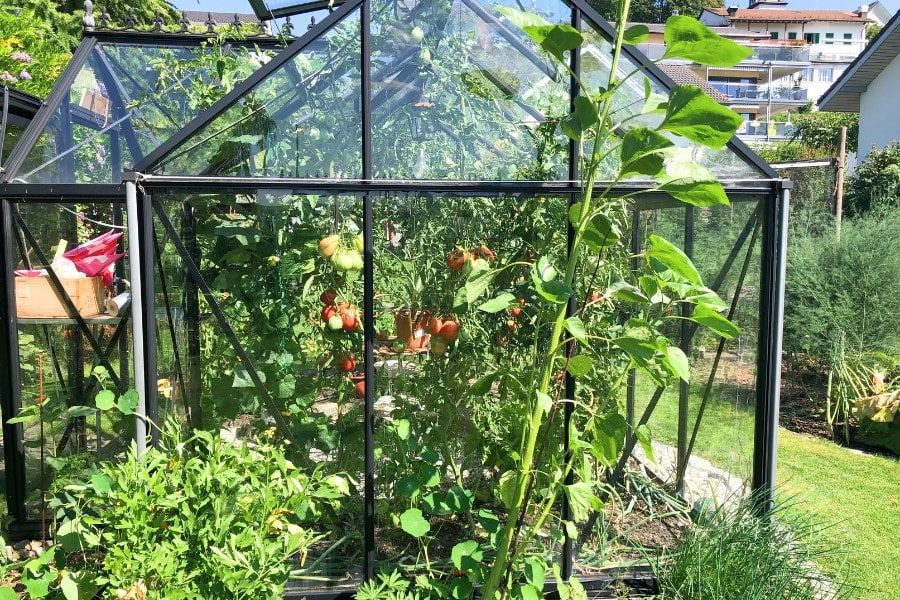 glass greenhouse