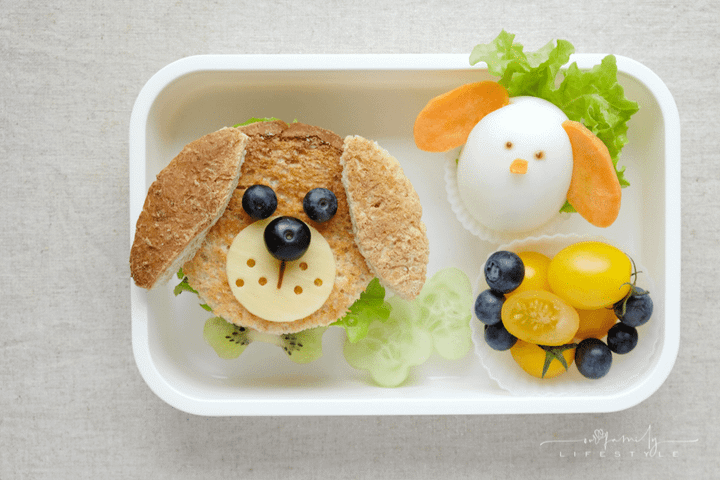 Top Daycare Lunch Box Ideas That Will Inspire Every Mom
