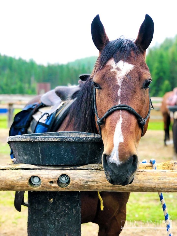 Bar W Guest Ranch Montana horseback riding