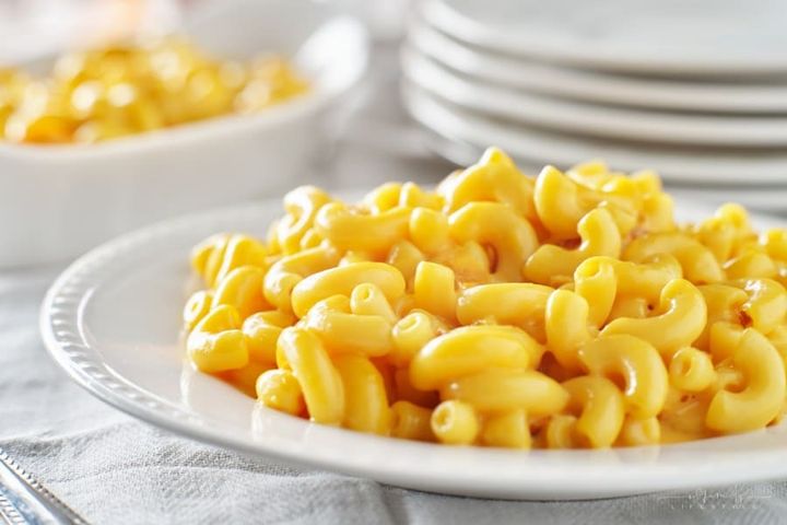 creamy mac and cheese on a white plate