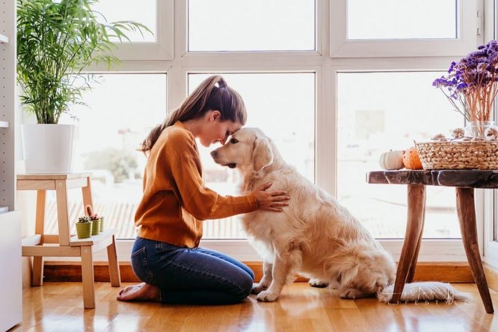 Woman Hugging Her Golden Retriever Dog at Home