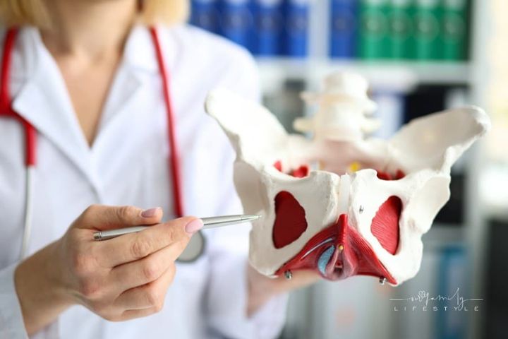 Doctor Traumatologist Demonstrating Bones of Pelvis to Students in Clinic Closeup