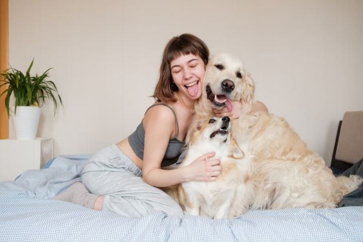 woman posing with tongue out to match dogs she is holding on bed