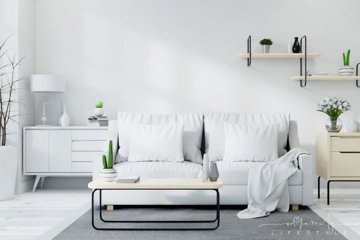 modern Scandinavian living room