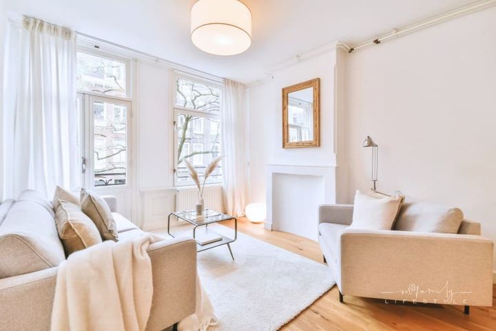 Adorable Minimalist Living Room with Cozy Rug