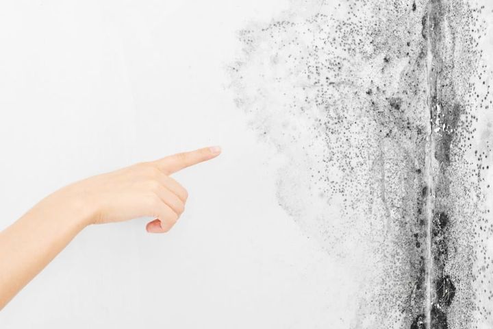 Mold. Aspergillus. The finger of the hand points to the black fungus on the white wall."