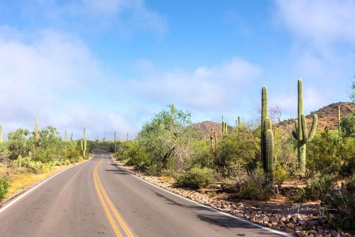 Saguaro National Park