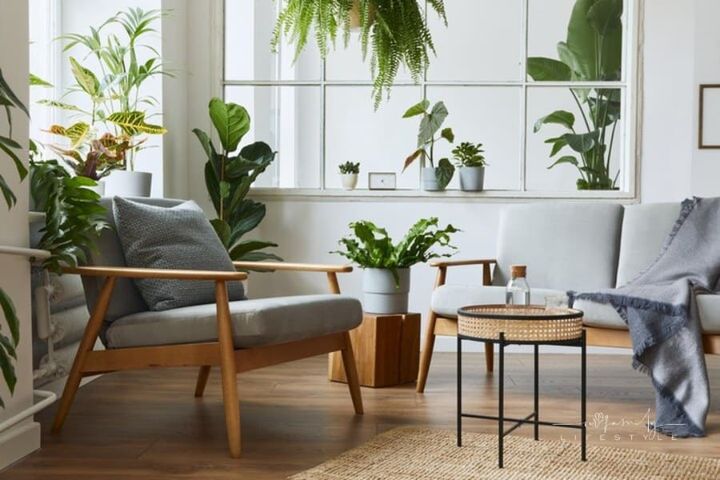 plants displayed around corner of room in front of window