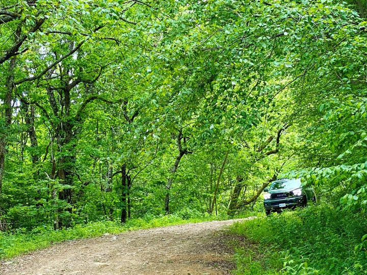 ake the Whole Family Off-Road in a 2020 Toyota Sequoia TRD Pro