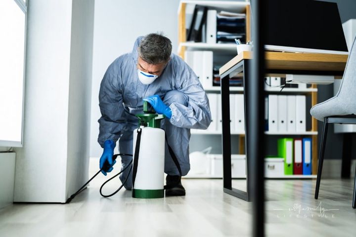 Pest Control Exterminator Services Spraying Insecticide