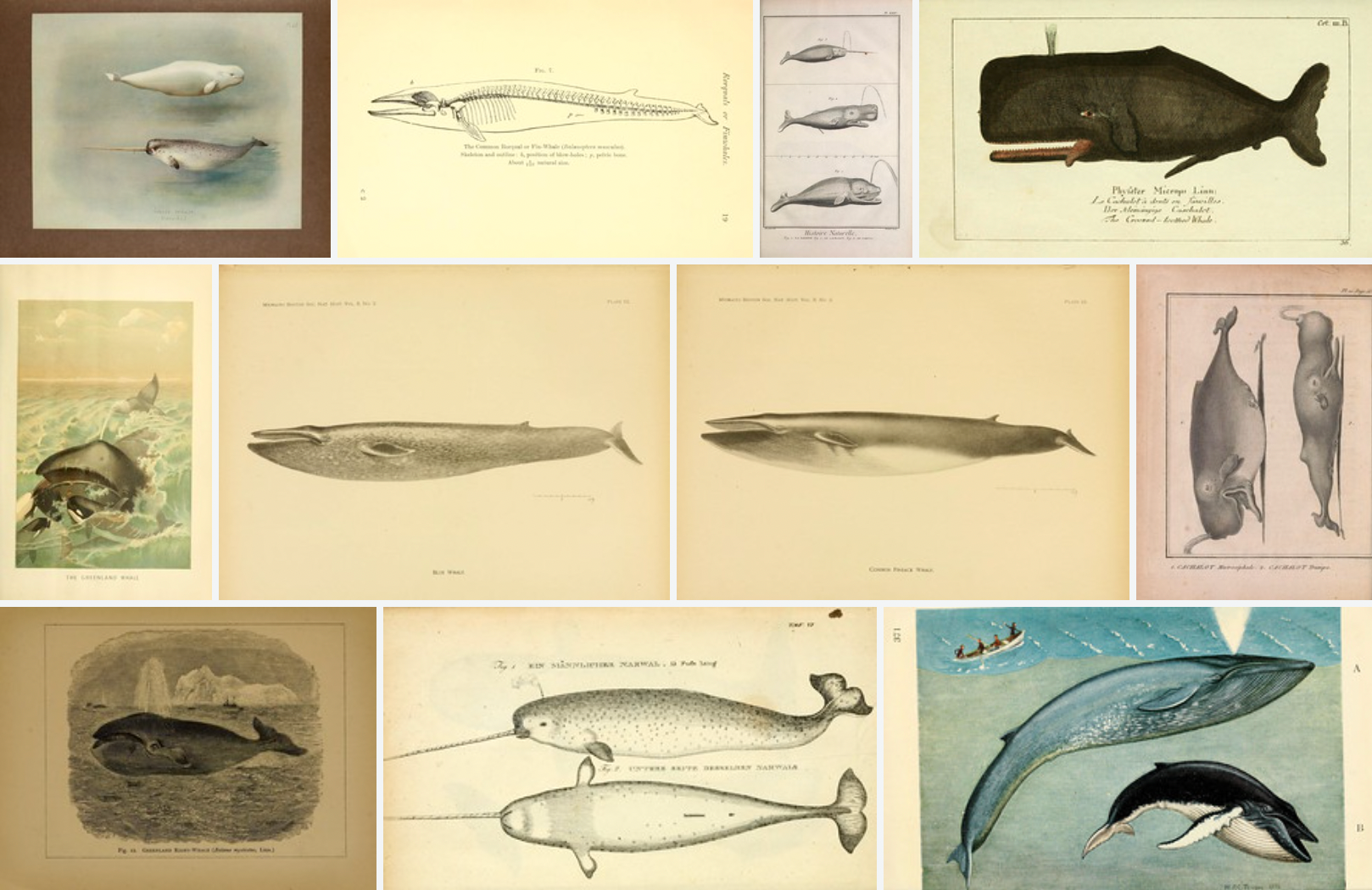 Whatever it is that’s swimming down there