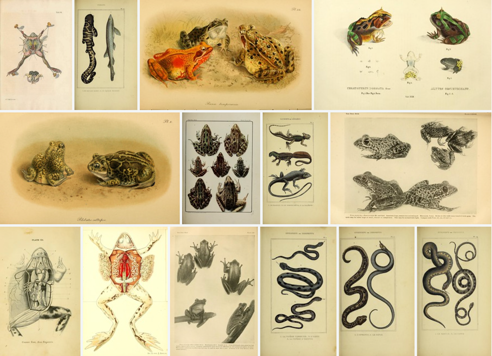 How much death works