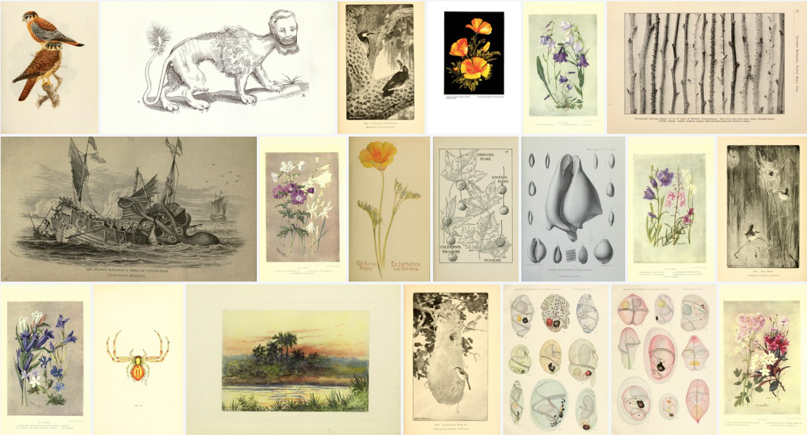 There are few jobs quite so absurd as rockstar