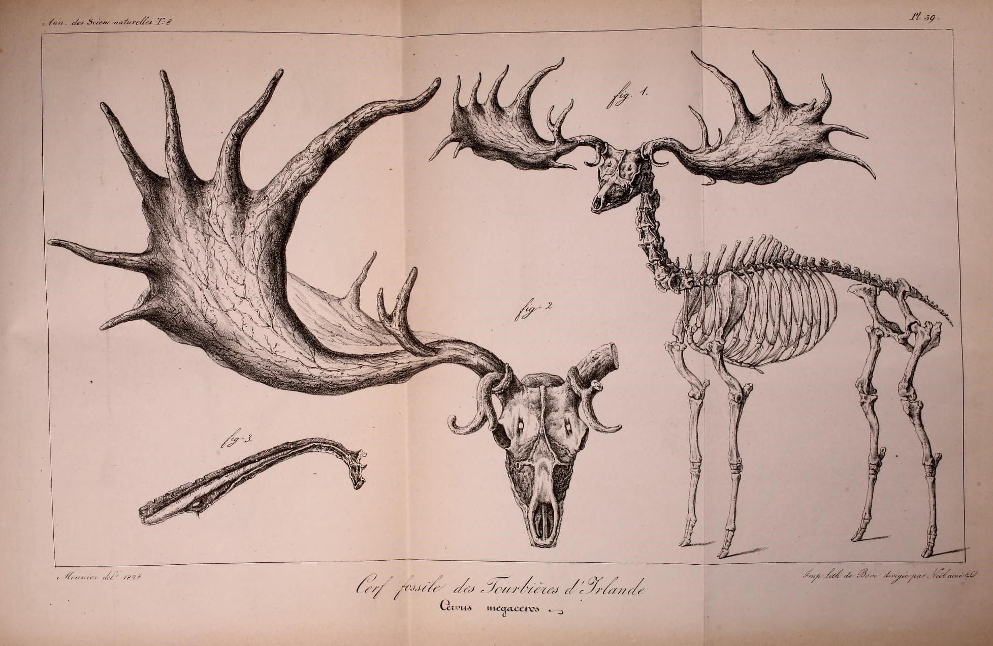 The opposite of a holiday