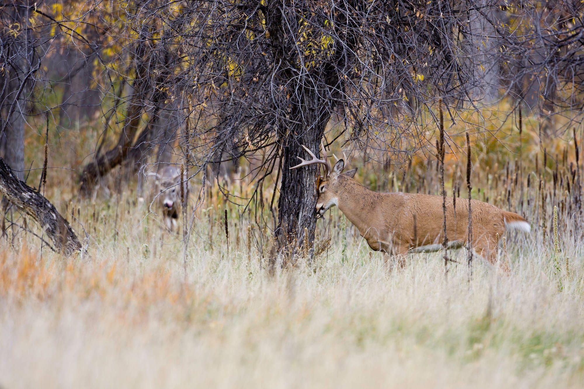 Believing you will receive