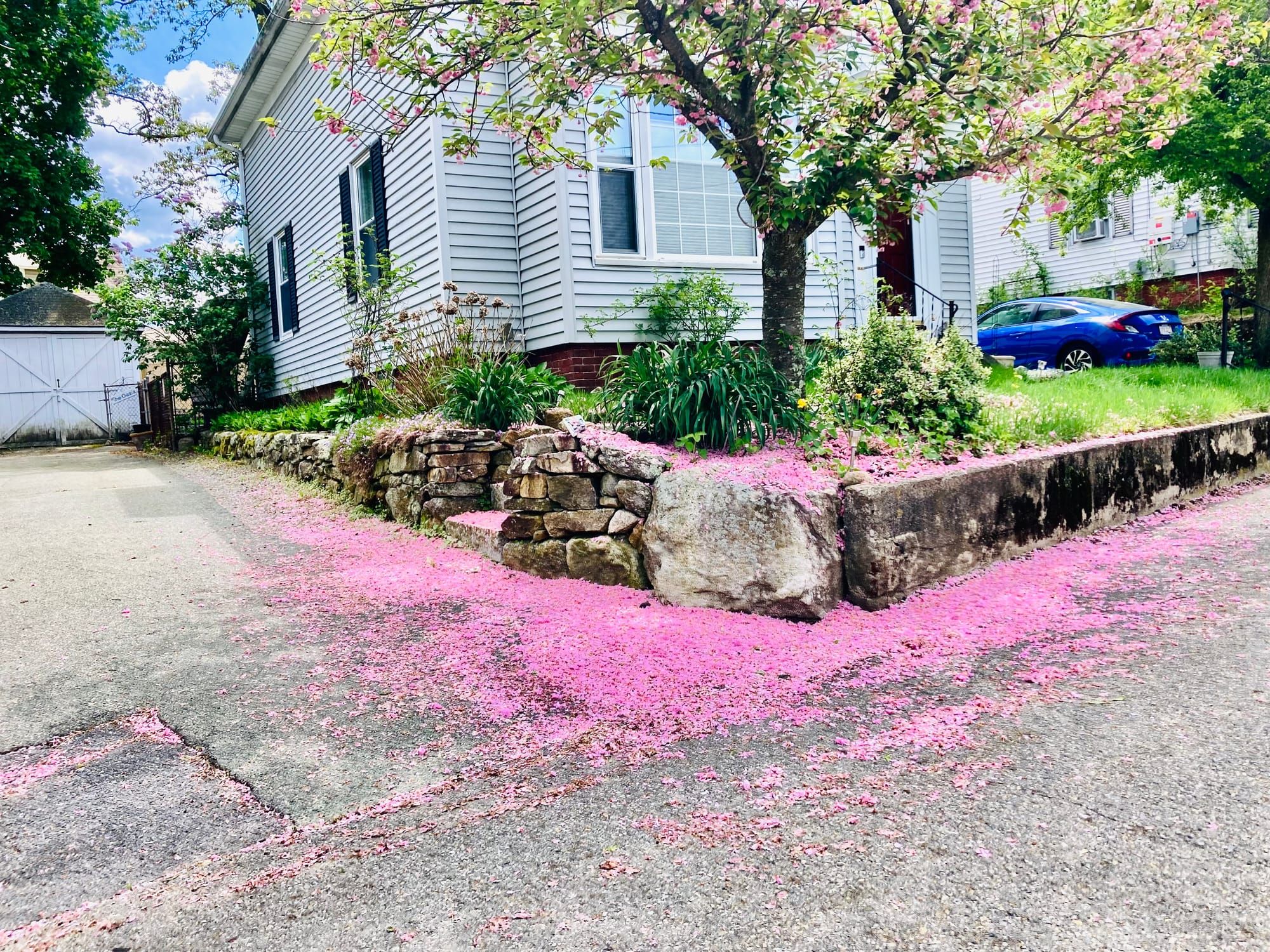 Reverse engineering the life that I wanted to have