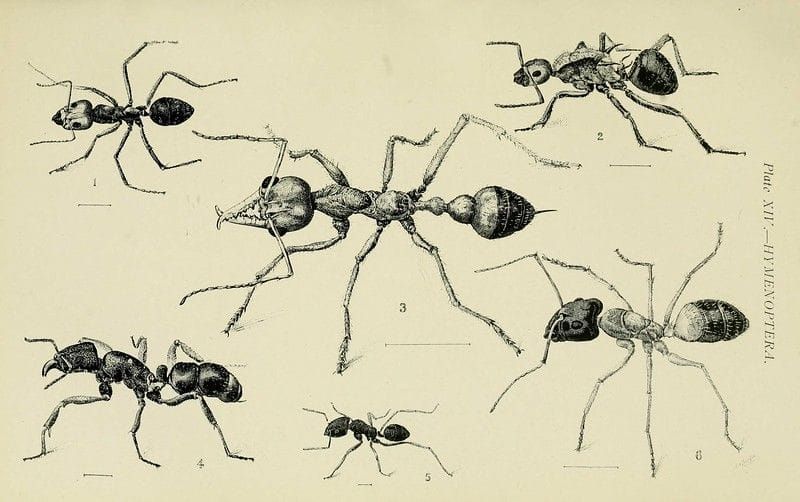 Commuting is psychological torture