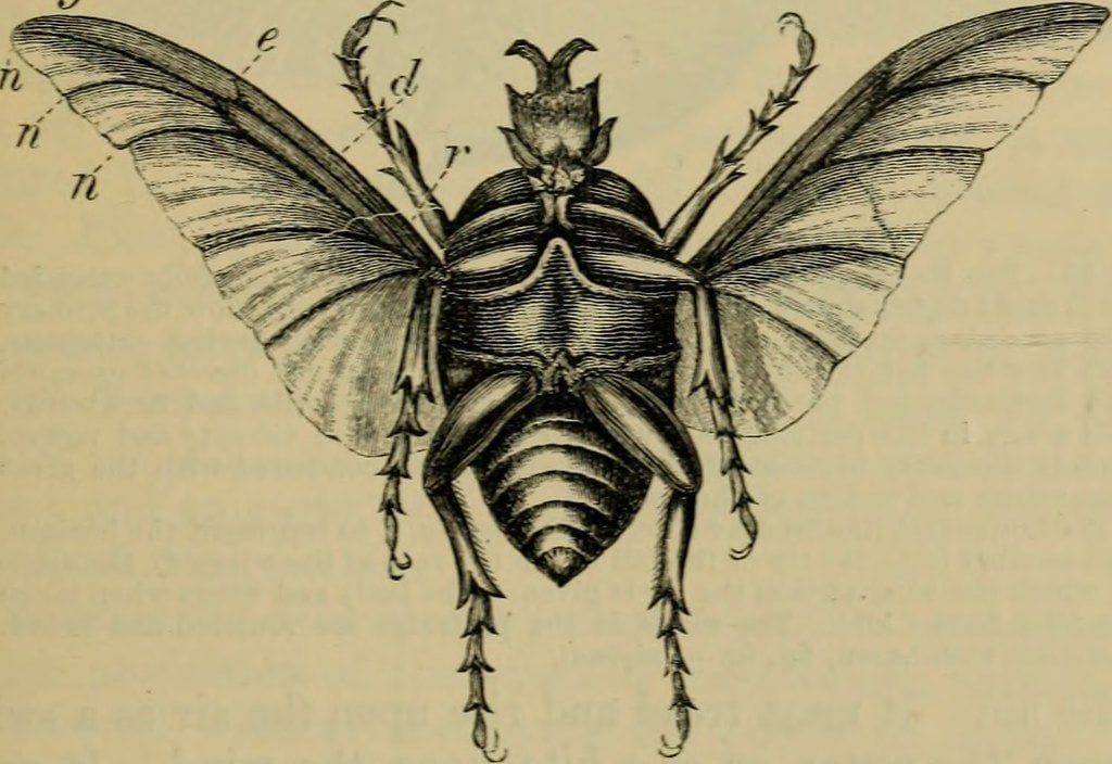 Reporter, Dystopia Beat