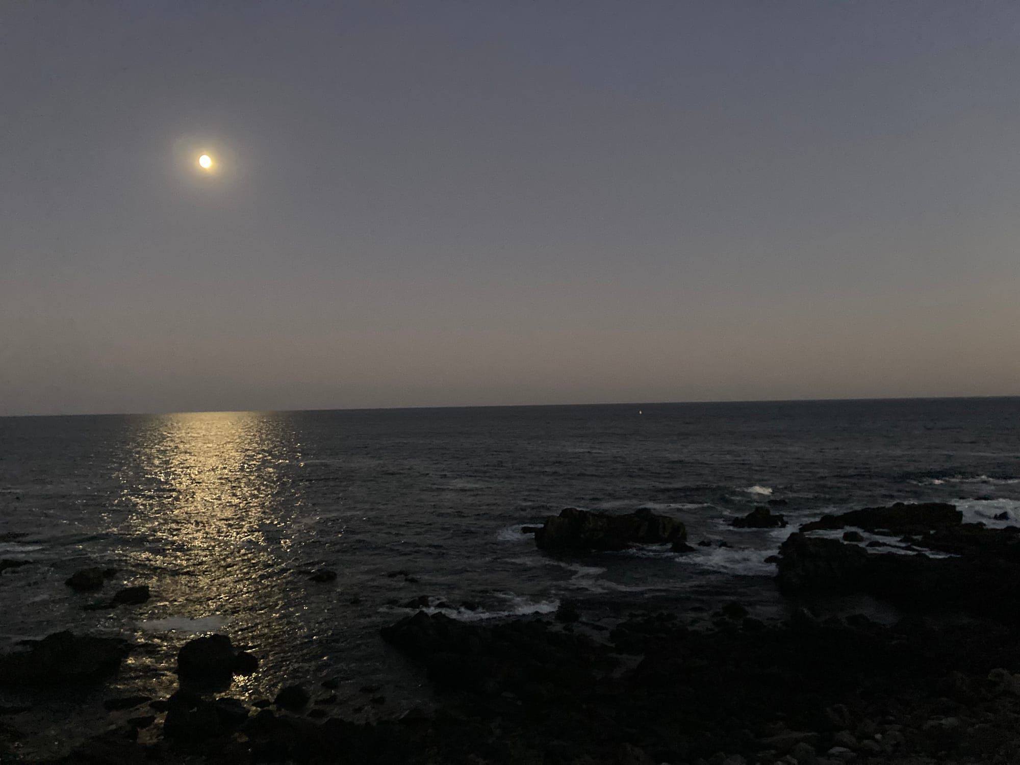 Everything is so stupid and so dangerous at once