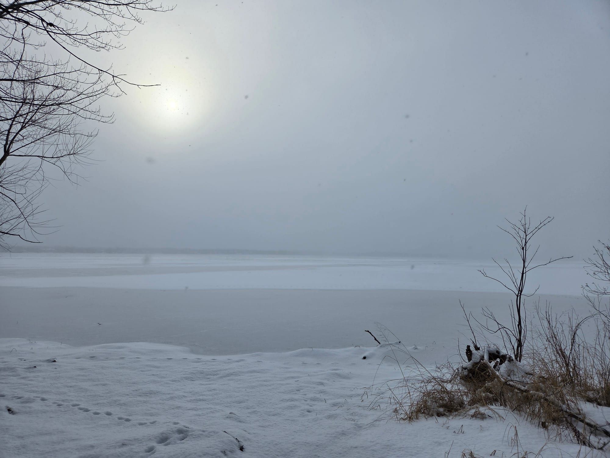 It really really really could happen