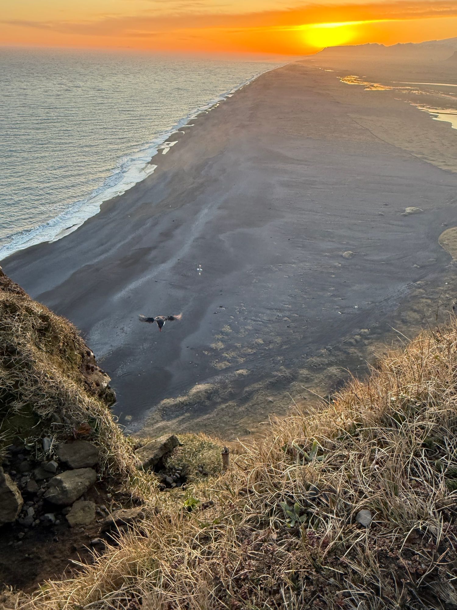 The past is a foreign country but it's also a hostile one