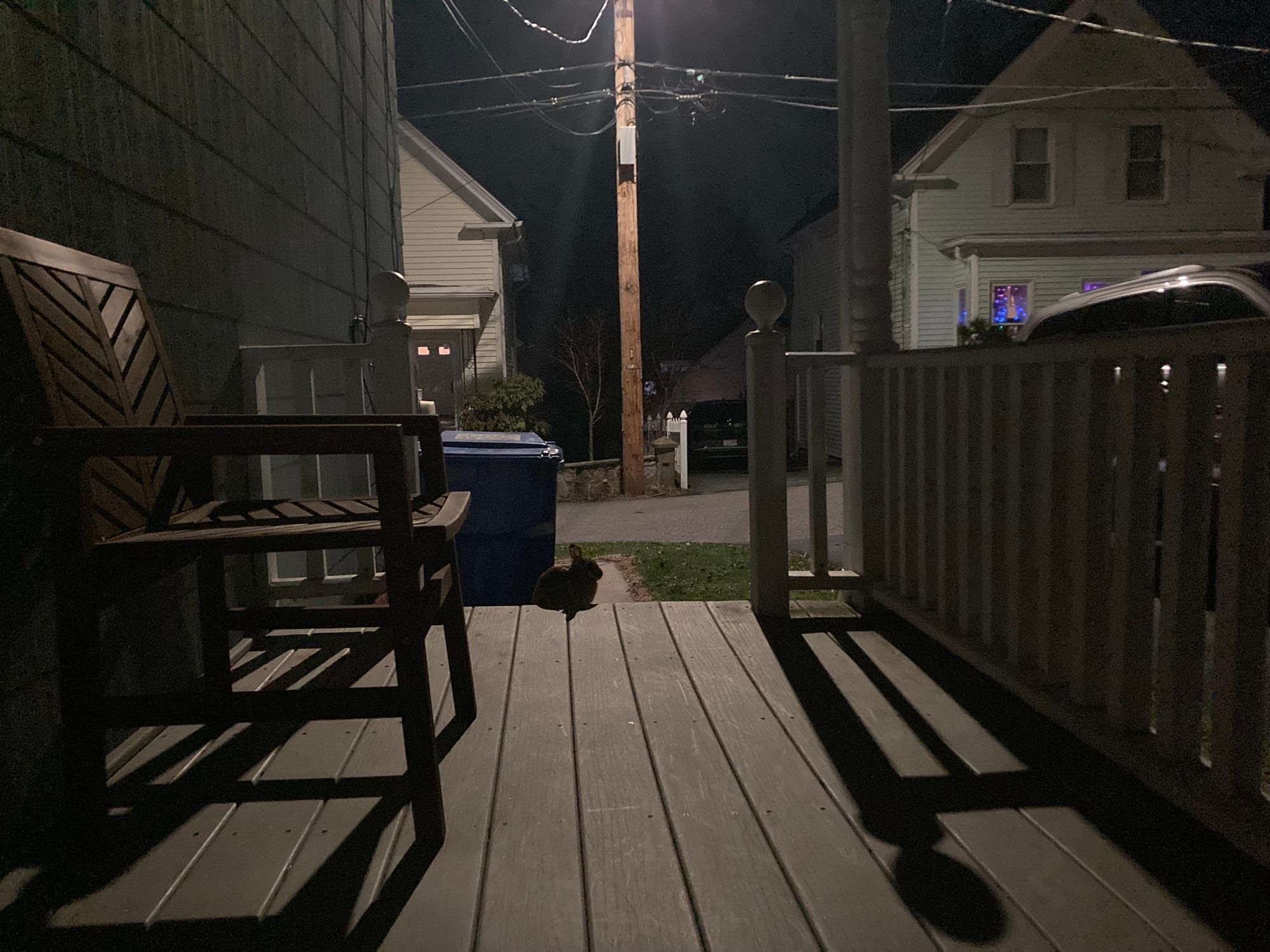 A terrible beauty is born