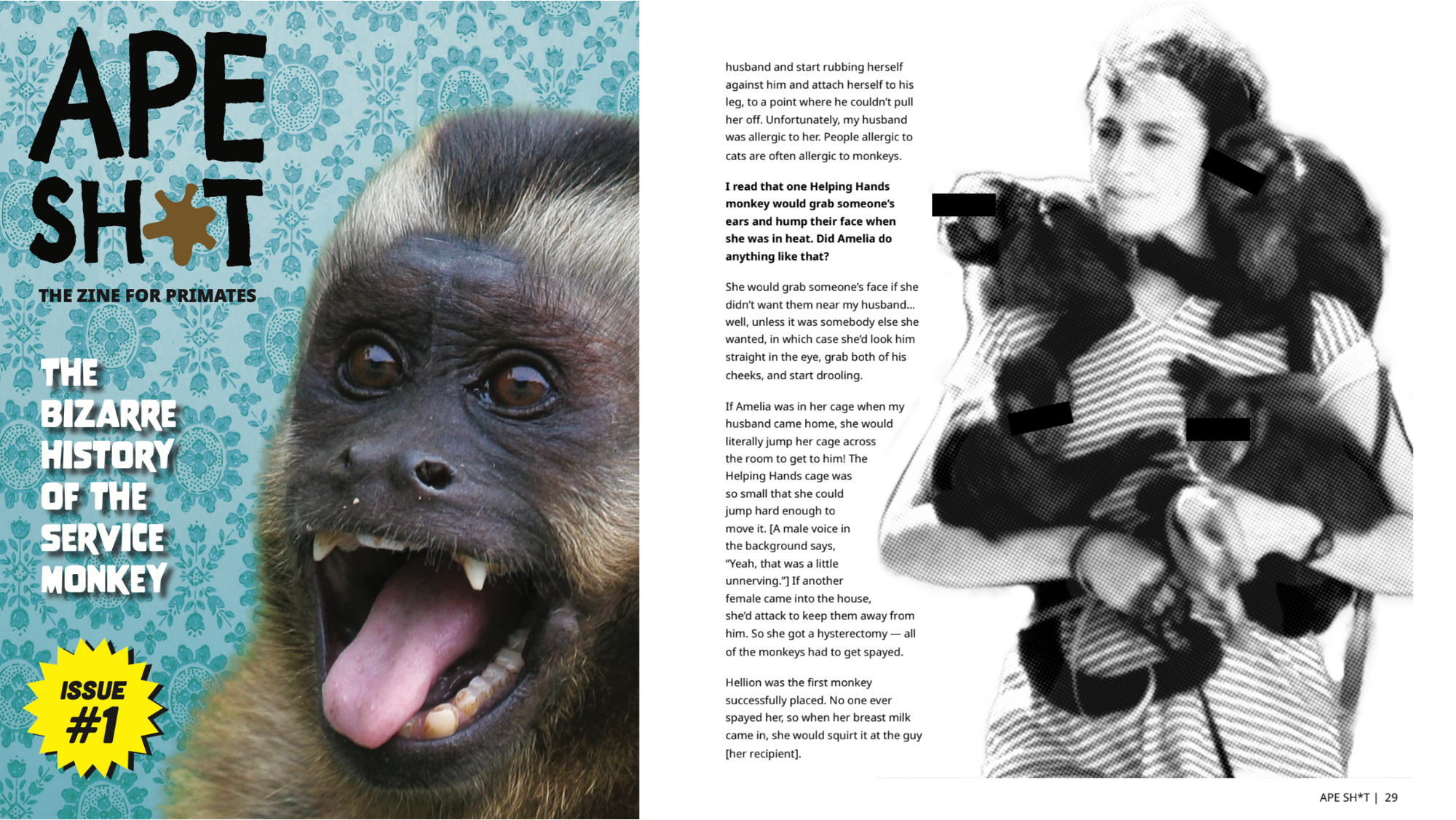 The Bizarre History of the Service Monkey