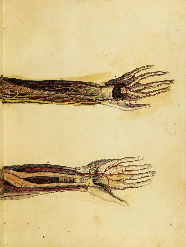 America decided the death of children was bearable before America became America