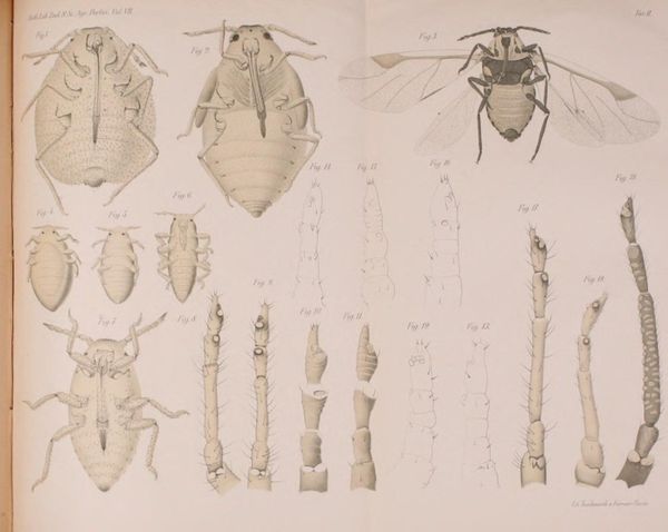 The legal system is stacked against your grandparents