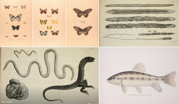 I have never spoken to let alone met my doctor