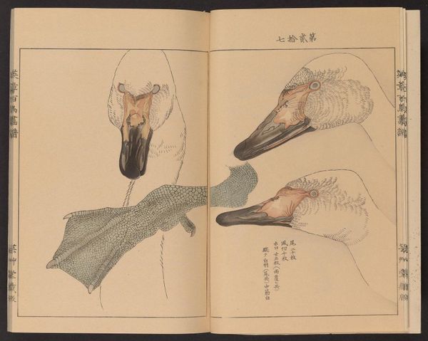 They had to go to something that was more effective